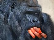 Giuro domani smetto....