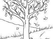 L'autunno: parole disegni