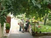 Giardino della Minerva