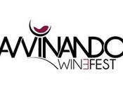 Avvinando Wine Fest 2011 vini premiati