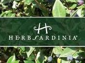 Recensione cosmetici eco-bio Herbsardinia!