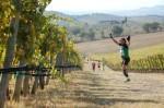 Ottobre 2011: crescente successo l'Ecomaratona Chianti. Commento classifiche...