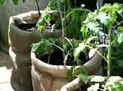 giardino originale