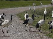 commento..approvato!..grazie…