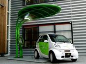 Giancarlo Zema Lotus Urchin