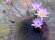 giugno 2011....50 anni