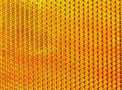 Portaspiccioli dorati Comme Garcons