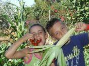 Cinisi, bambini vincono concorso “tutti pazzi frutta”