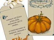 magici semi zucca