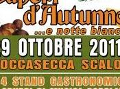 Roccasecca Scalo: sabato Sapori d’Autunno, notte bianca EcoFesta Minimo Impatto