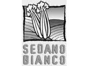 Sedano Bianco Sperlonga