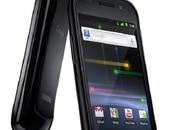 Nexus videoprova Flabbertech