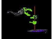 cena PAUUUURAAAA!!!!