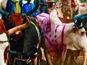 spazio culturale Yaaral Degal