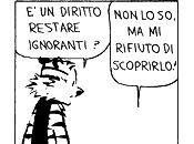 Alle radici della fuffa…