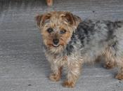 Arrivederci vita mia....