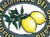 Limone femminello Gargano