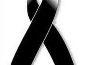 Torta alle zucchine, Daniela.