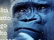 Perchè aprire blog come iniziare