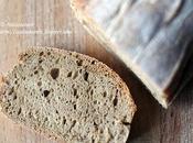 Pane rustico alla segale: coccodrillo buono