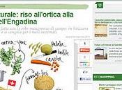 Cucina naturale: riso all'ortica alla maniera dell'Engadina