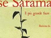 Avvistamento: grande fiore mondo José Saramago