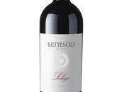 Vino, “Seligo Rosso Sicilia Igt” Settesoli vino miglior rapporto qualità prezzo Gambero