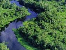 brasile muore difendere polmone verde mondo: l’amazzonia