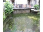 Roggia Udine-La Roie Udin