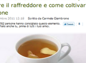 Meraviglioso zenzero!