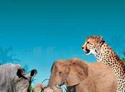 Lodokejek (Kenya) /Occhio all'ambiente disastro ecologico annunciato.../Dal diario Marco