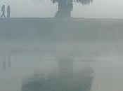 "Tenendo cose assieme" Mark Strand