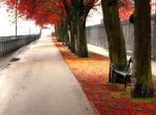 Guida Interfaccia Grafica Unity installata default Ubuntu Oneiric Ocelot 11.10