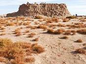 Antichi "castelli deserto" scoperti Libia