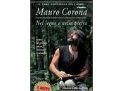 legno nella pietra