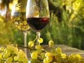 vino naturale compra Etica Vitis