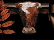 Perche' vegan