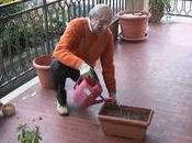 Coltivare aromatiche casa