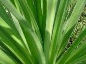 riscaldamento pavimento