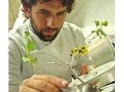 Uno, due, tre…Stella!Michelin! Marco Stabile,Vito Mollica Matias Perdomo