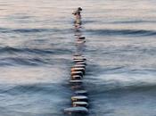 Augusta: incidente pontile Isab, mare sversamento petrolio.