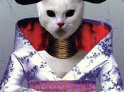 kitten covers