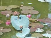 Viaggio Cambogia