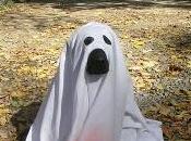 Cani FANTASMAgorici