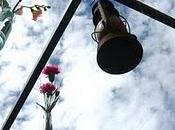 Green Style: bottiglie vetro fiori appesi