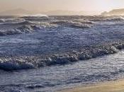 morti mare