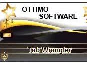 Schede inattive Ecco come chiuderle automaticamente Google Chrome Wrangler