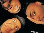 Fishbone camaleonti crossover