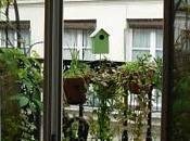 Giardini mestieri_ Garden designer decoratrice