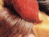 Remise forme capello. Numero capelli bianchi